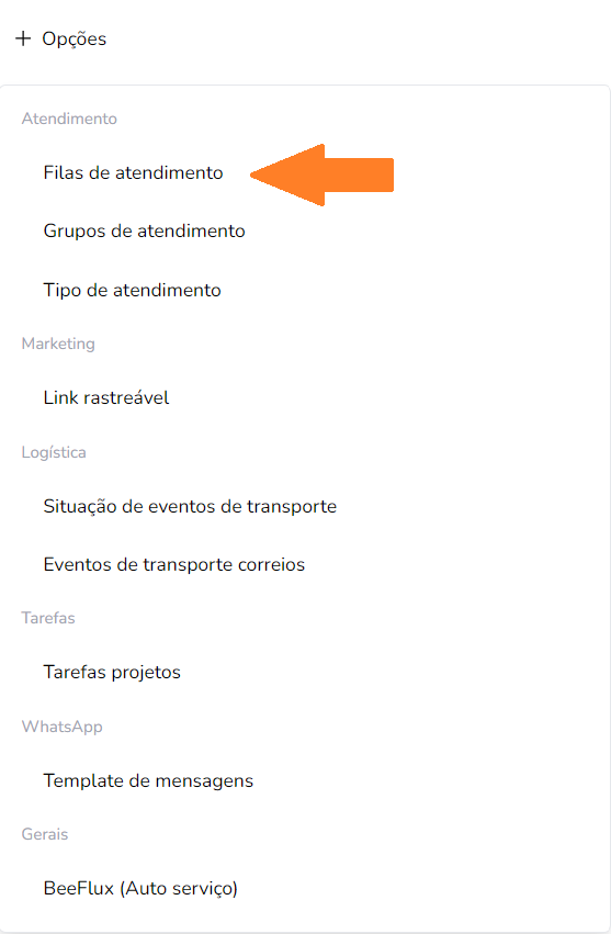 Imagem 21: Opção de Fila de Atendimento